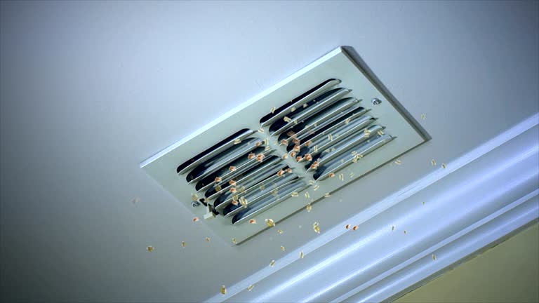 Best Air Duct Cleaning Near Me  in Litchfield, IL